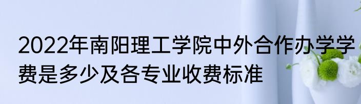 2022年南阳理工学院中外合作办学学费是多少及各专业收费标准