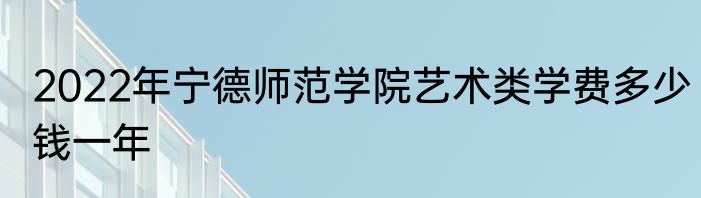 2022年宁德师范学院艺术类学费多少钱一年