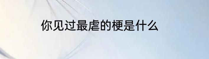 你见过最虐的梗是什么