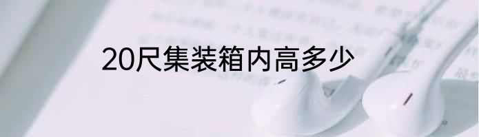 20尺集装箱内高多少