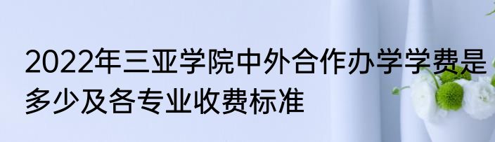 2022年三亚学院中外合作办学学费是多少及各专业收费标准