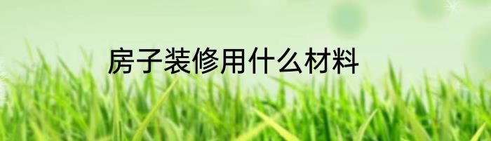 房子装修用什么材料