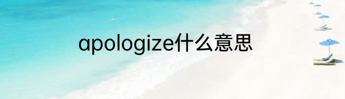 apologize什么意思