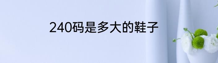 240码是多大的鞋子