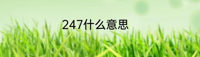 247什么意思