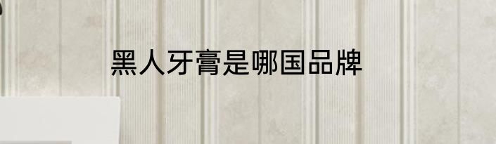 黑人牙膏是哪国品牌