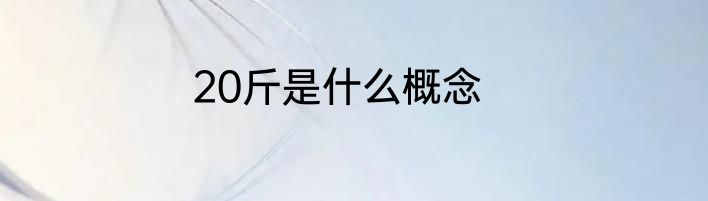 20斤是什么概念