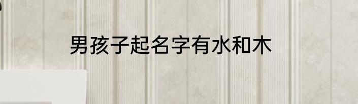 男孩子起名字有水和木