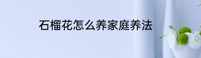 石榴花怎么养家庭养法