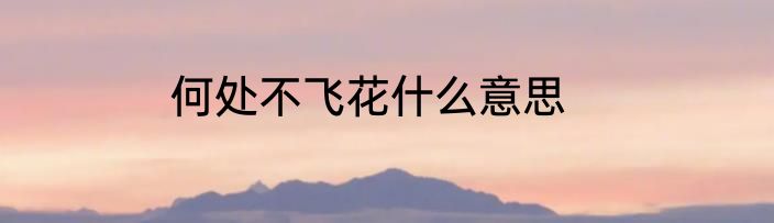 何处不飞花什么意思