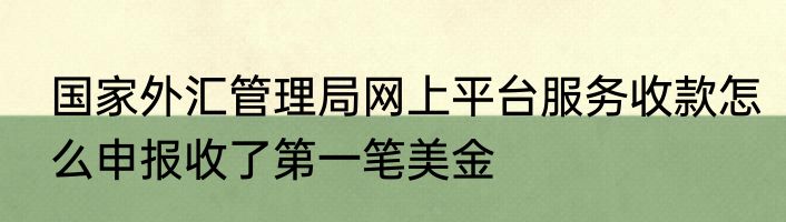 国家外汇管理局网上平台服务收款怎么申报收了第一笔美金
