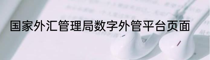国家外汇管理局数字外管平台页面