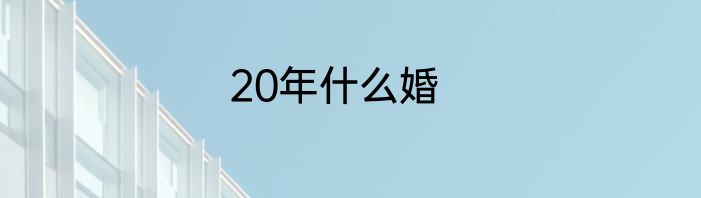 20年什么婚