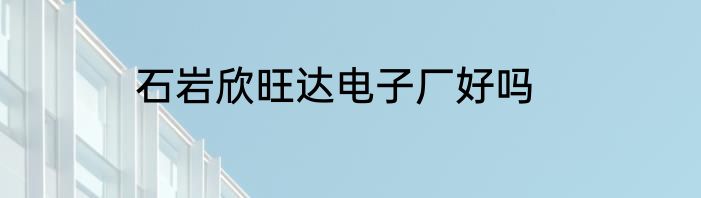 石岩欣旺达电子厂好吗