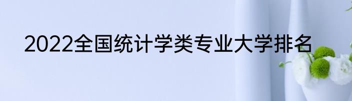 2022全国统计学类专业大学排名