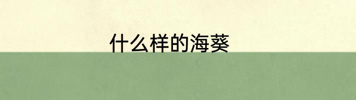 什么样的海葵