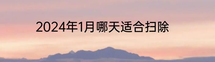 2024年1月哪天适合扫除
