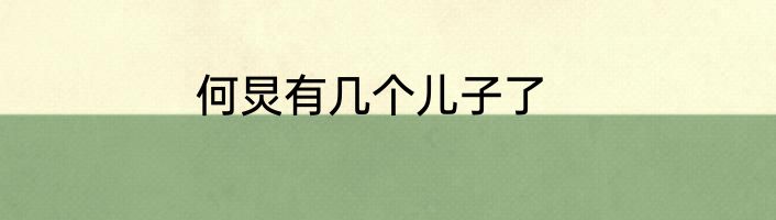 何炅有几个儿子了