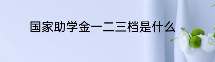 国家助学金一二三档是什么
