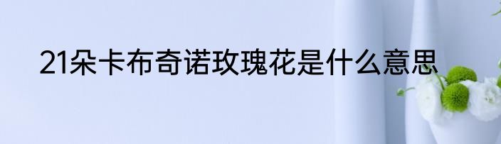 21朵卡布奇诺玫瑰花是什么意思