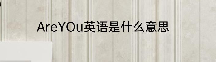 AreYOu英语是什么意思
