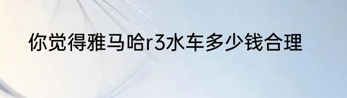 你觉得雅马哈r3水车多少钱合理