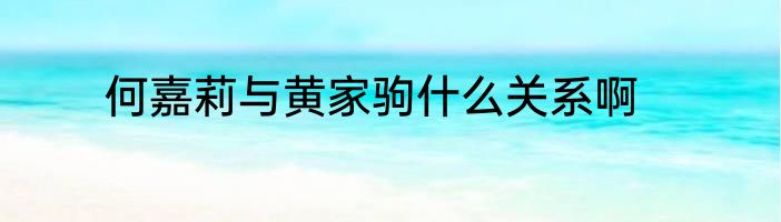 何嘉莉与黄家驹什么关系啊