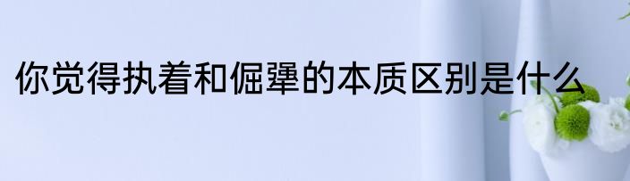 你觉得执着和倔犟的本质区别是什么