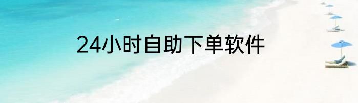 24小时自助下单软件