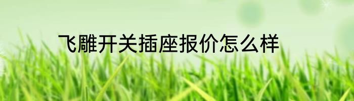 飞雕开关插座报价怎么样