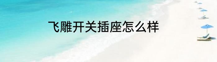 飞雕开关插座怎么样