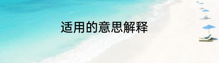 适用的意思解释