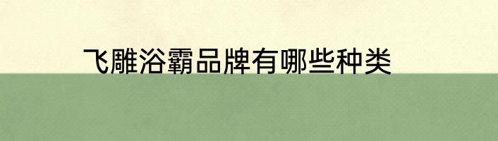 飞雕浴霸品牌有哪些种类