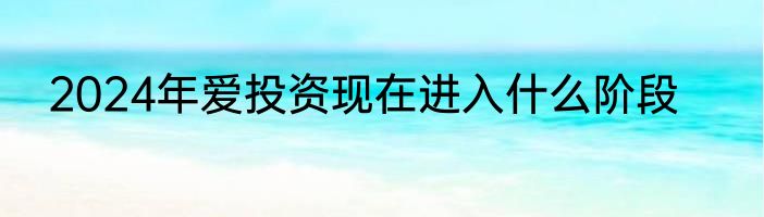 2024年爱投资现在进入什么阶段