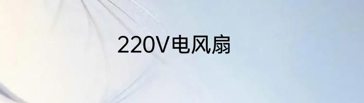 220V电风扇