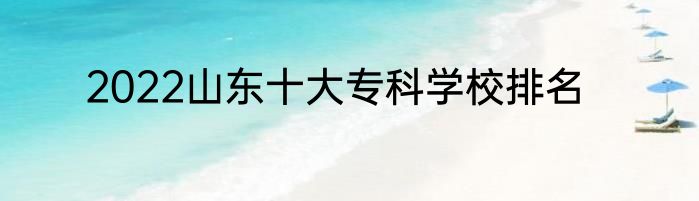 2022山东十大专科学校排名