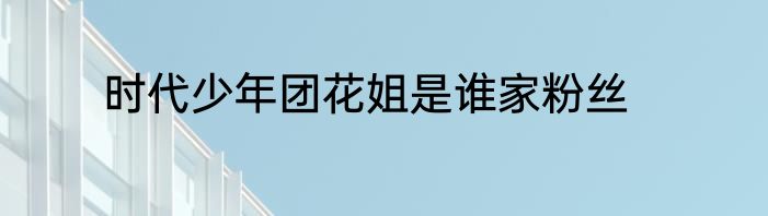 时代少年团花姐是谁家粉丝