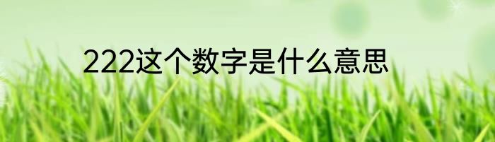 222这个数字是什么意思