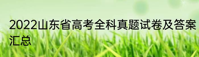 2022山东省高考全科真题试卷及答案汇总