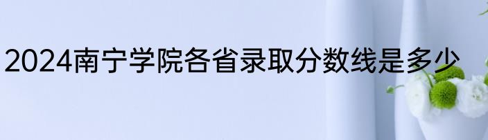 2024南宁学院各省录取分数线是多少