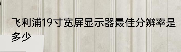 飞利浦19寸宽屏显示器最佳分辨率是多少