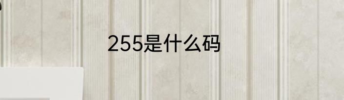 255是什么码