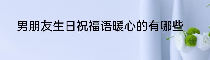 男朋友生日祝福语暖心的有哪些