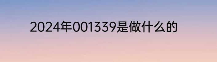 2024年001339是做什么的