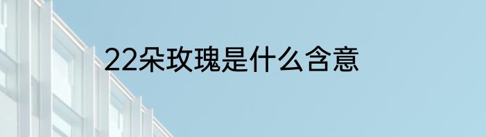22朵玫瑰是什么含意