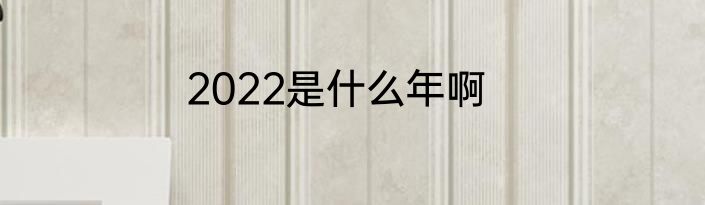 2022是什么年啊