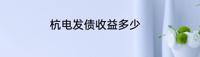 杭电发债收益多少