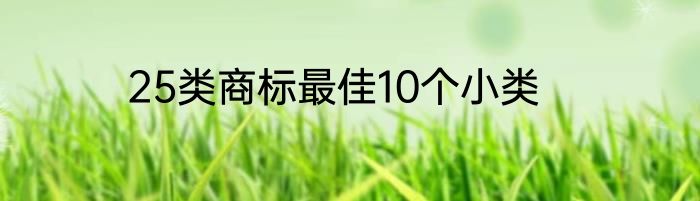 25类商标最佳10个小类
