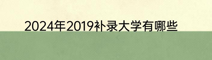 2024年2019补录大学有哪些
