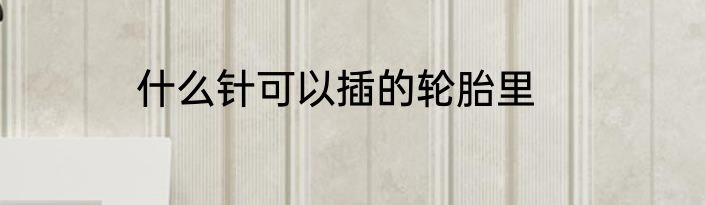 什么针可以插的轮胎里
